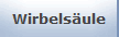 Wirbels�ule